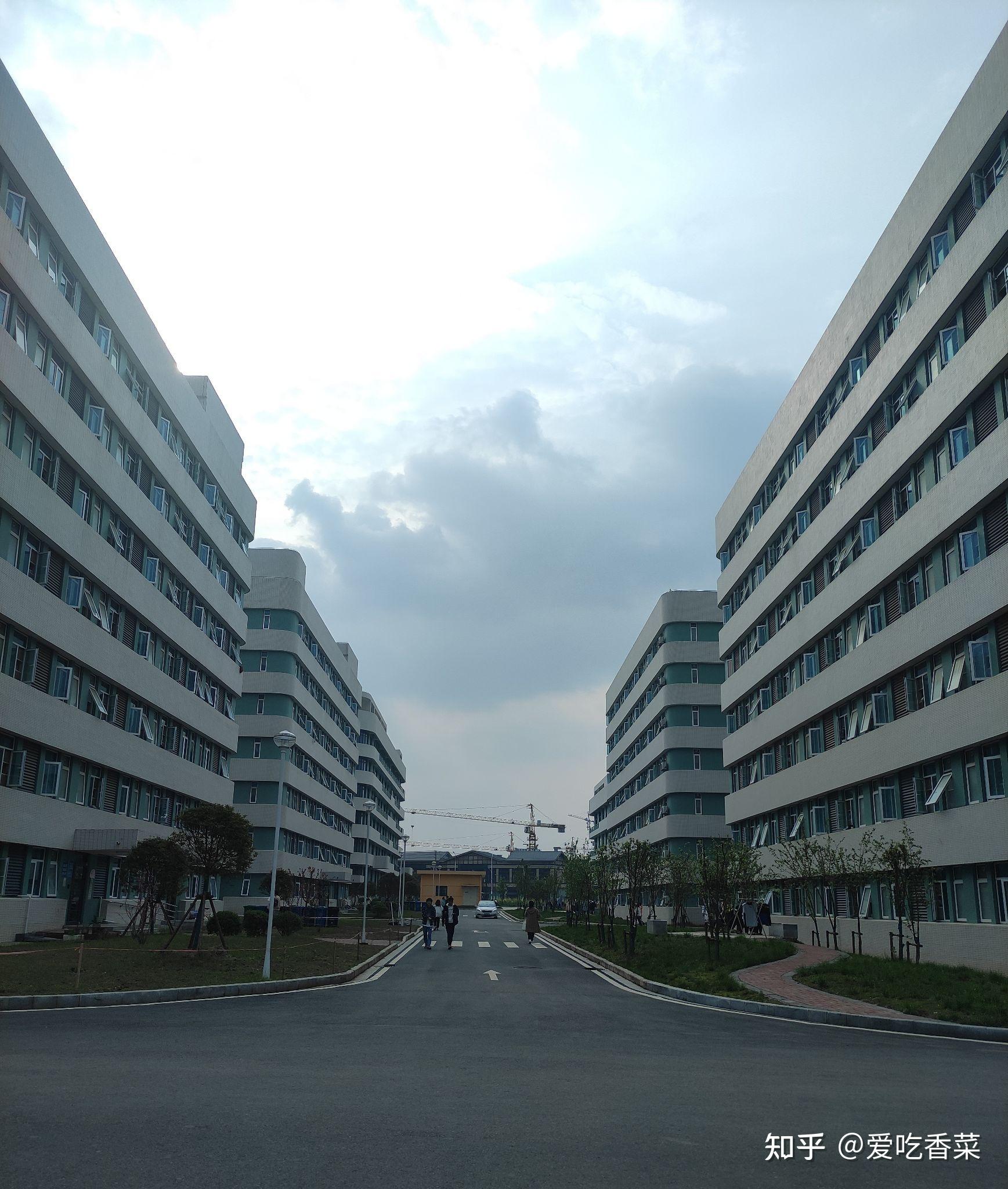 湖北长江职业学院怎么样?