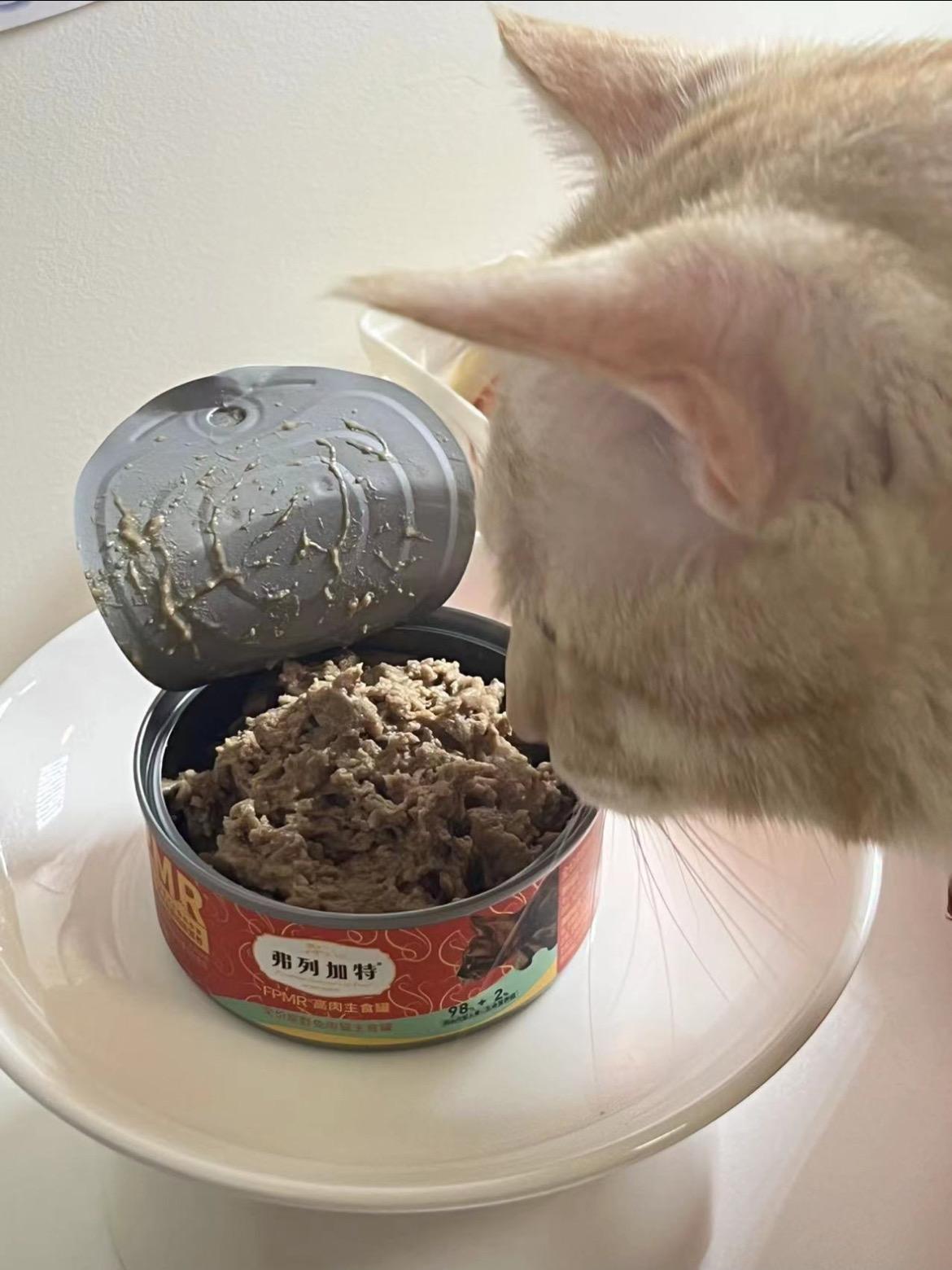 我摊牌了我就是看上了你家的猫所以可以让我解解馋吗