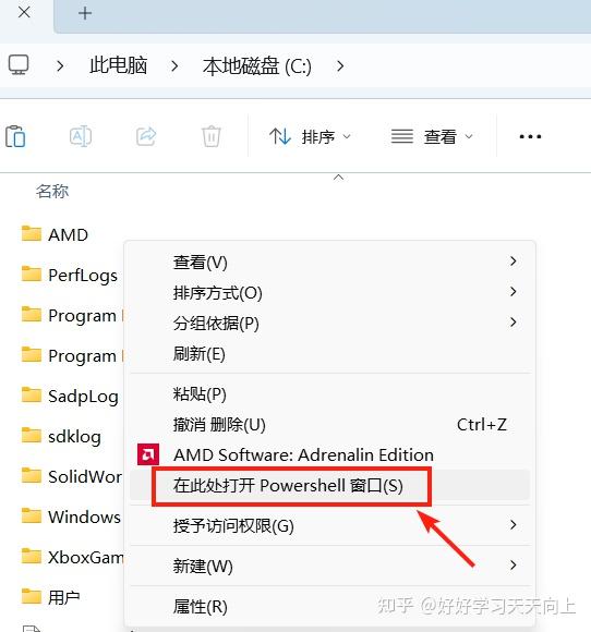 Windows11 LTSC下如何安装.msi或.msixbundle应用程序