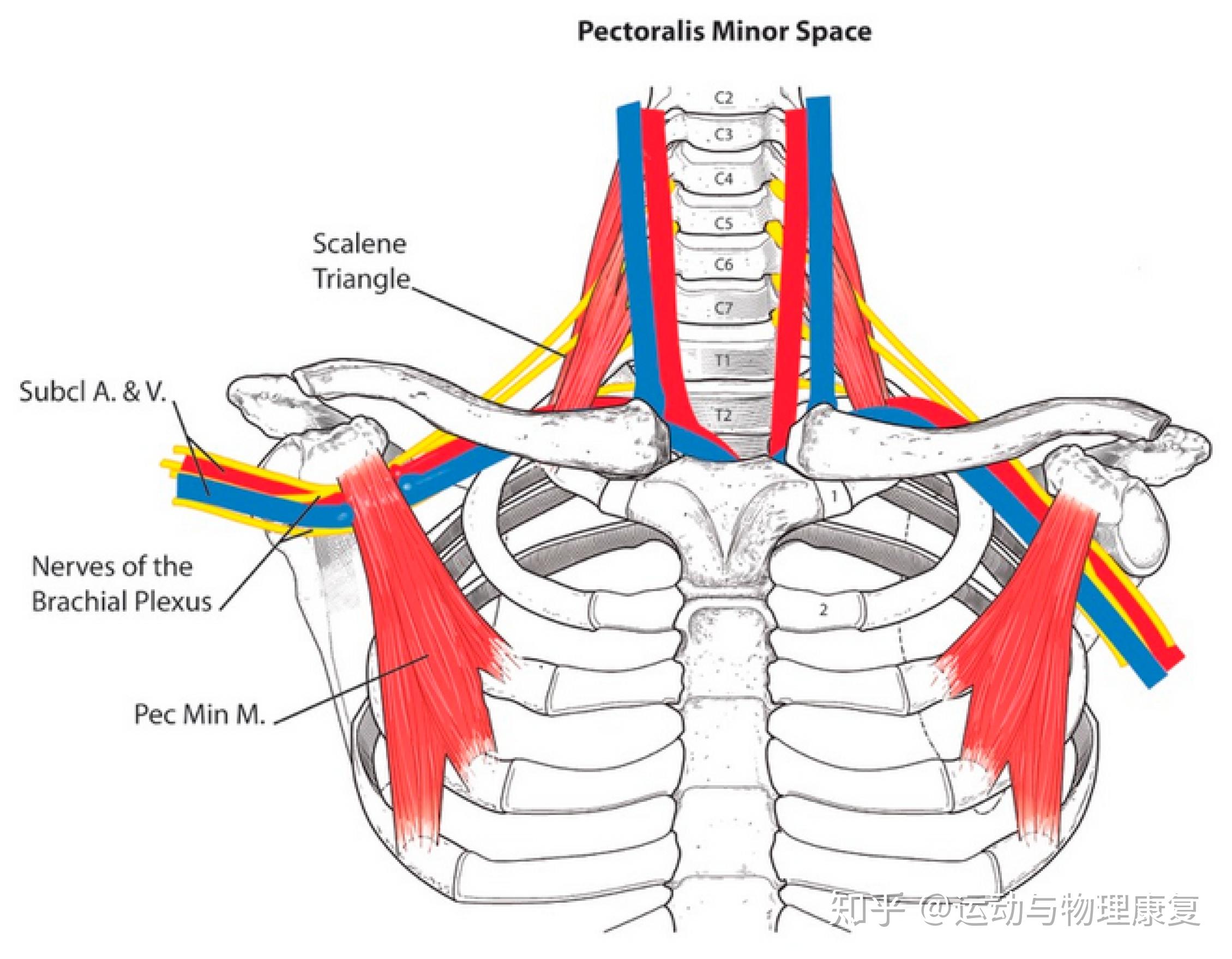 我想问一下谁的富贵包通过自己的努力消失了