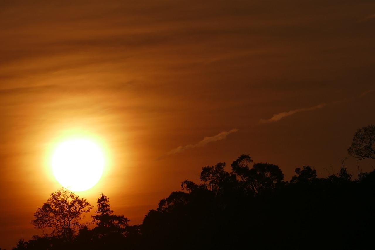 落日映照的背影