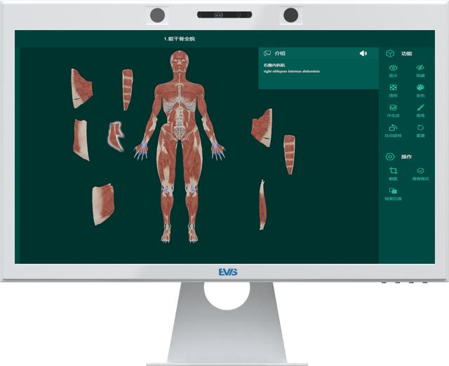 人体3D立体解剖软件 临床数字化教学利器 - 知乎