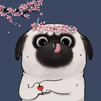 Zhihu profile picture for @merchants