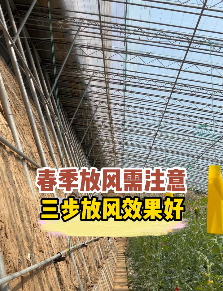 春季大棚升温快如何正确放风