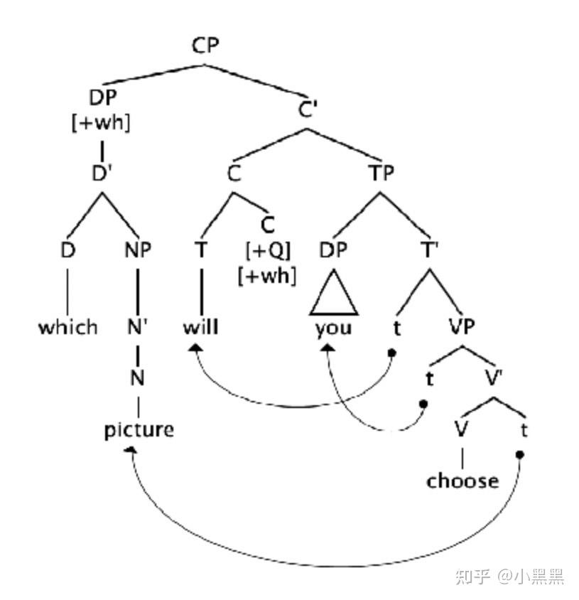 which picture will you choose 的语言学树状图怎么画呀? - 知乎