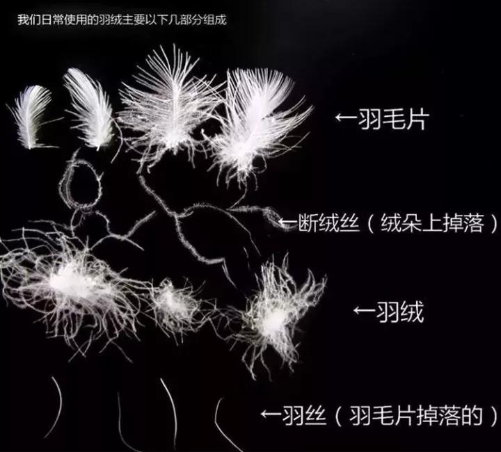 90%以上的妈妈都不知道,羽绒服充绒量多少才够暖和? - 知乎