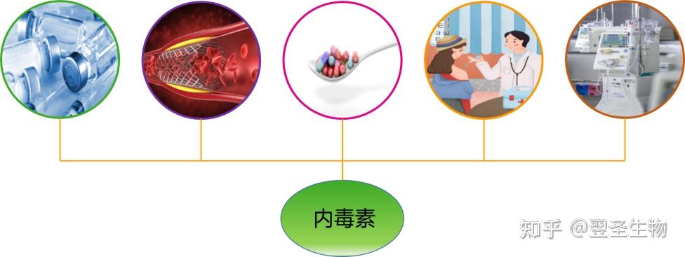 什么是内毒素? - 知乎