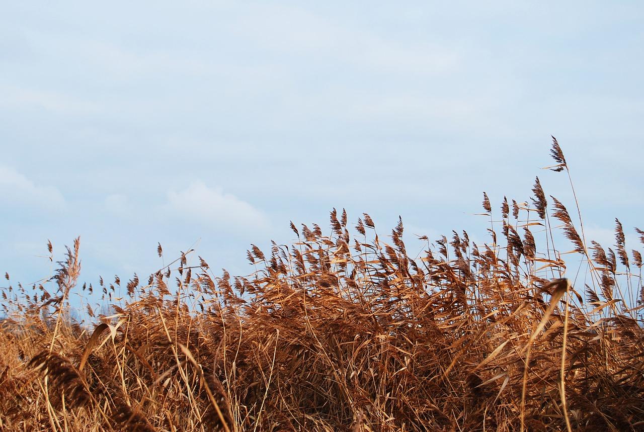 4. 河畔房价走势
