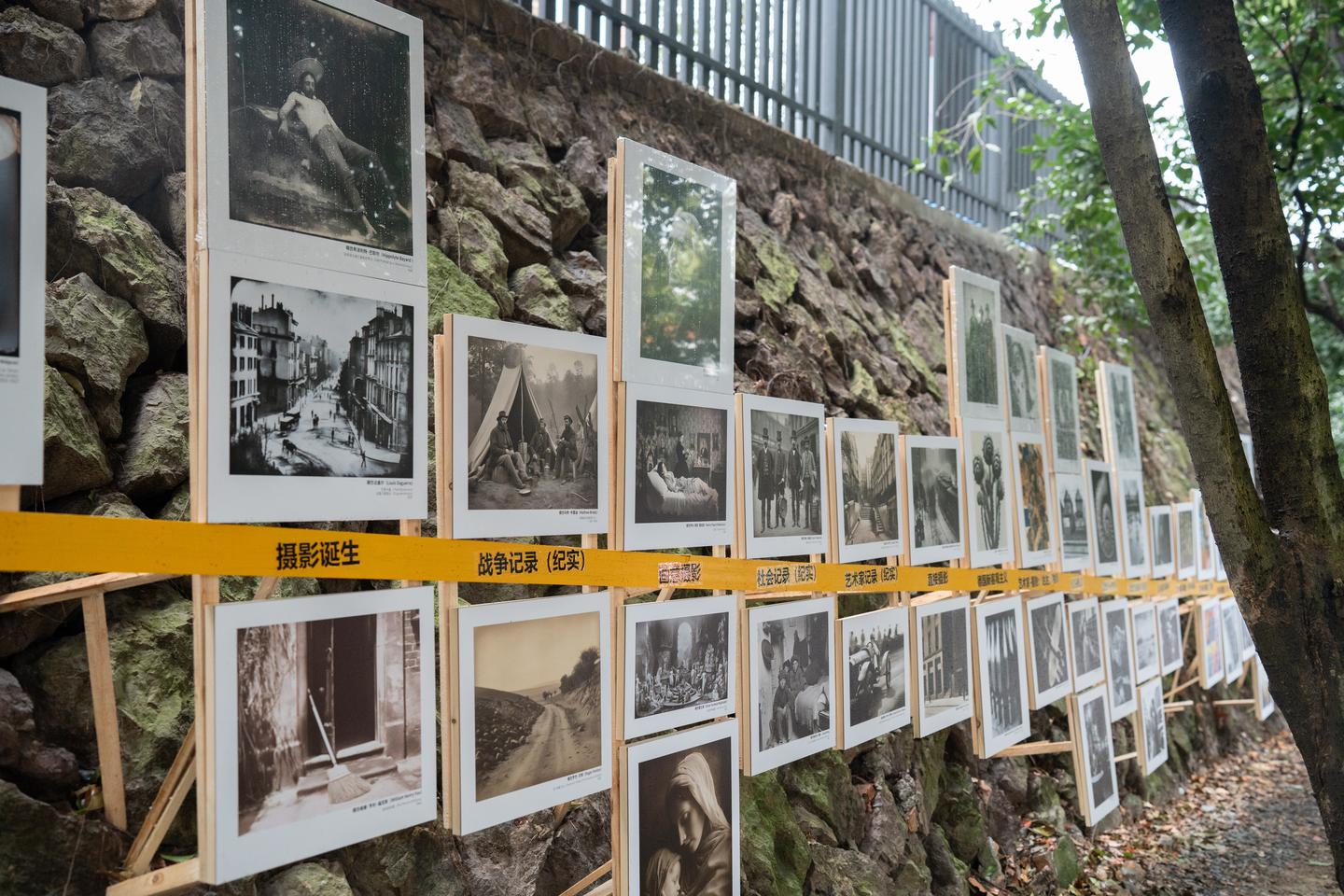 【见微知著】2023丽水摄影节——放射性:13人摄影展(21号馆)——不完全解析 - 知乎