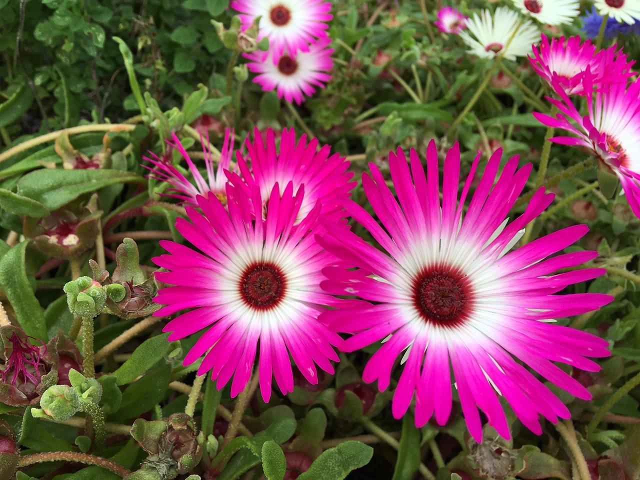 2. 环境优美宜居