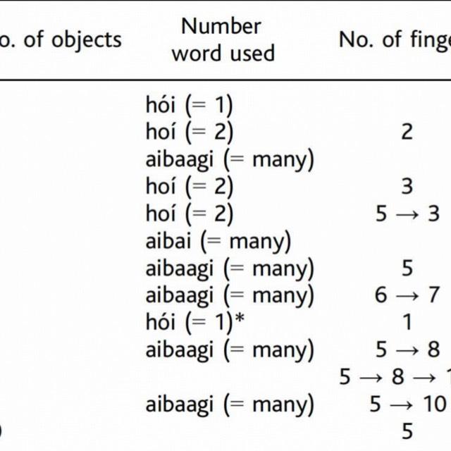 为什么说语言是思维的边界？