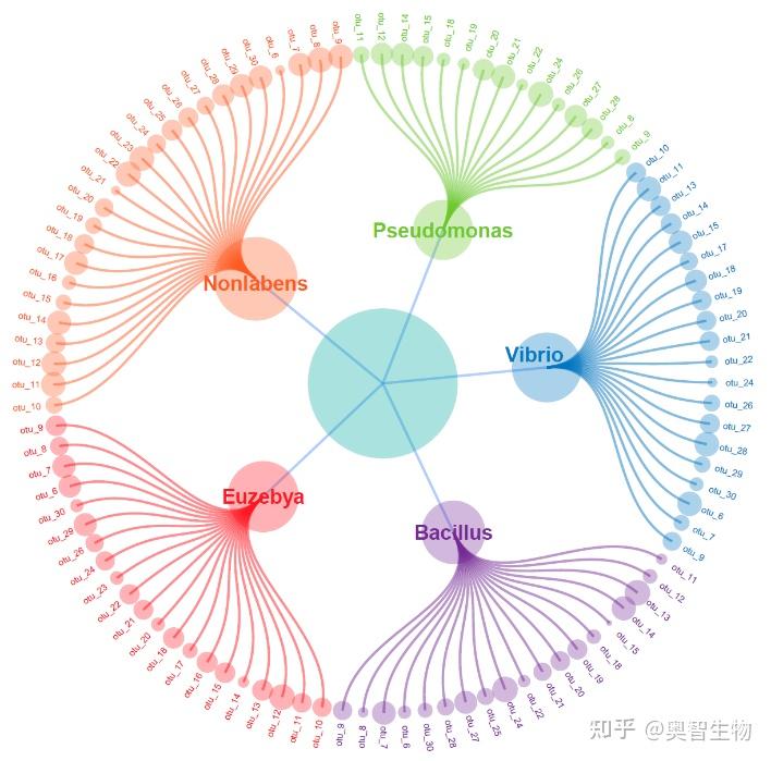 如何绘制各种好看的环状圈图? - 知乎