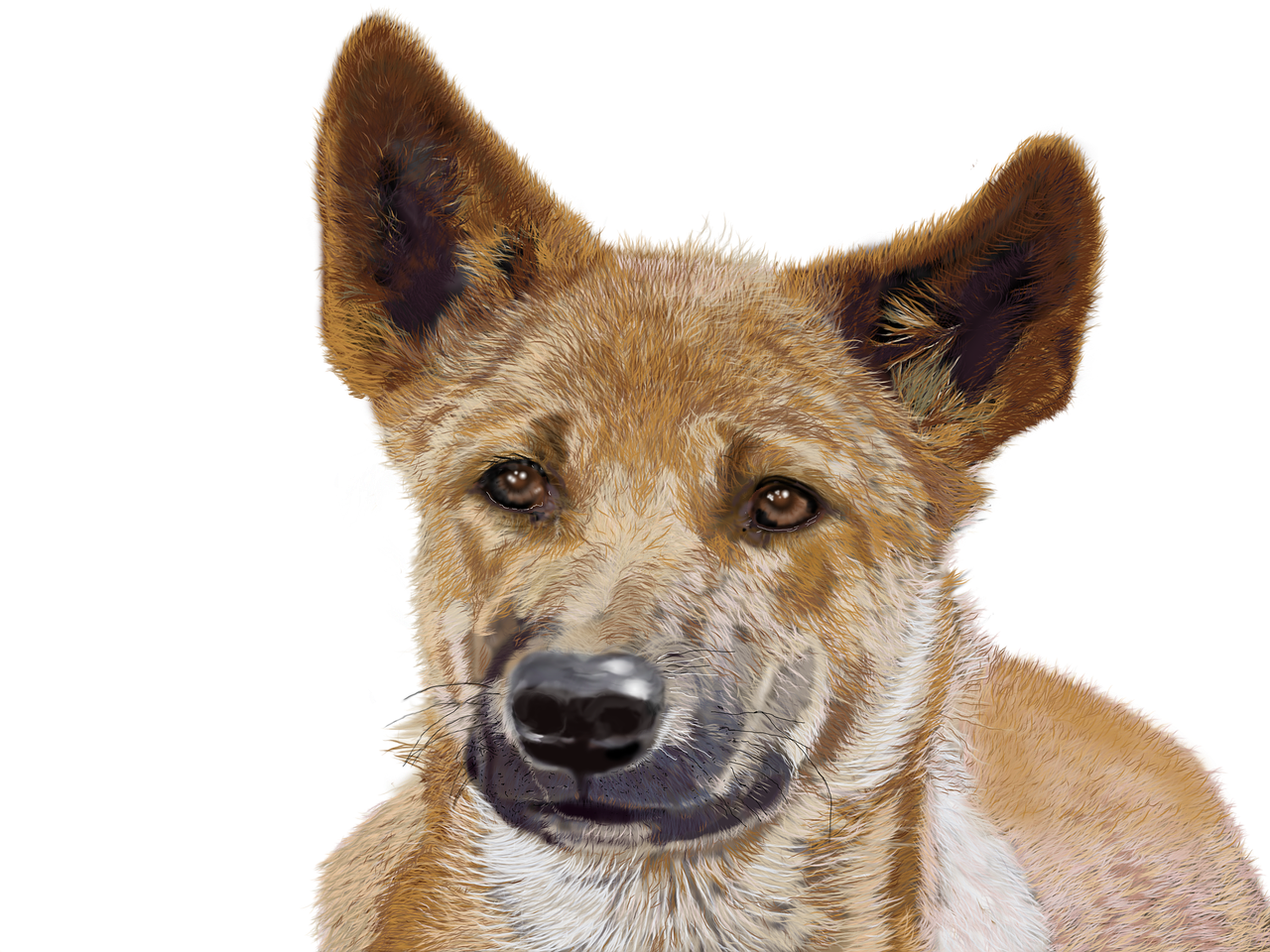 内画张广庆行情