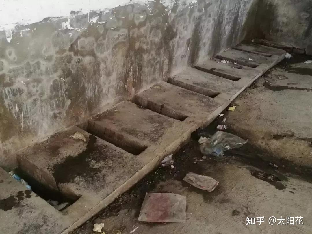 你小时候有没有掉过茅坑?