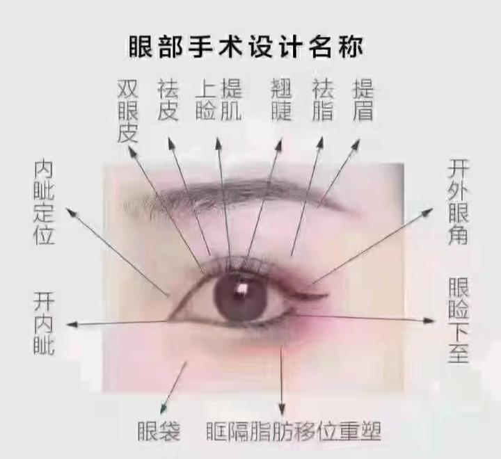 眼综合都包括什么项目