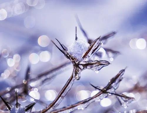 极端气候低温雨雪冰冻灾害环境模拟舱 - 知乎