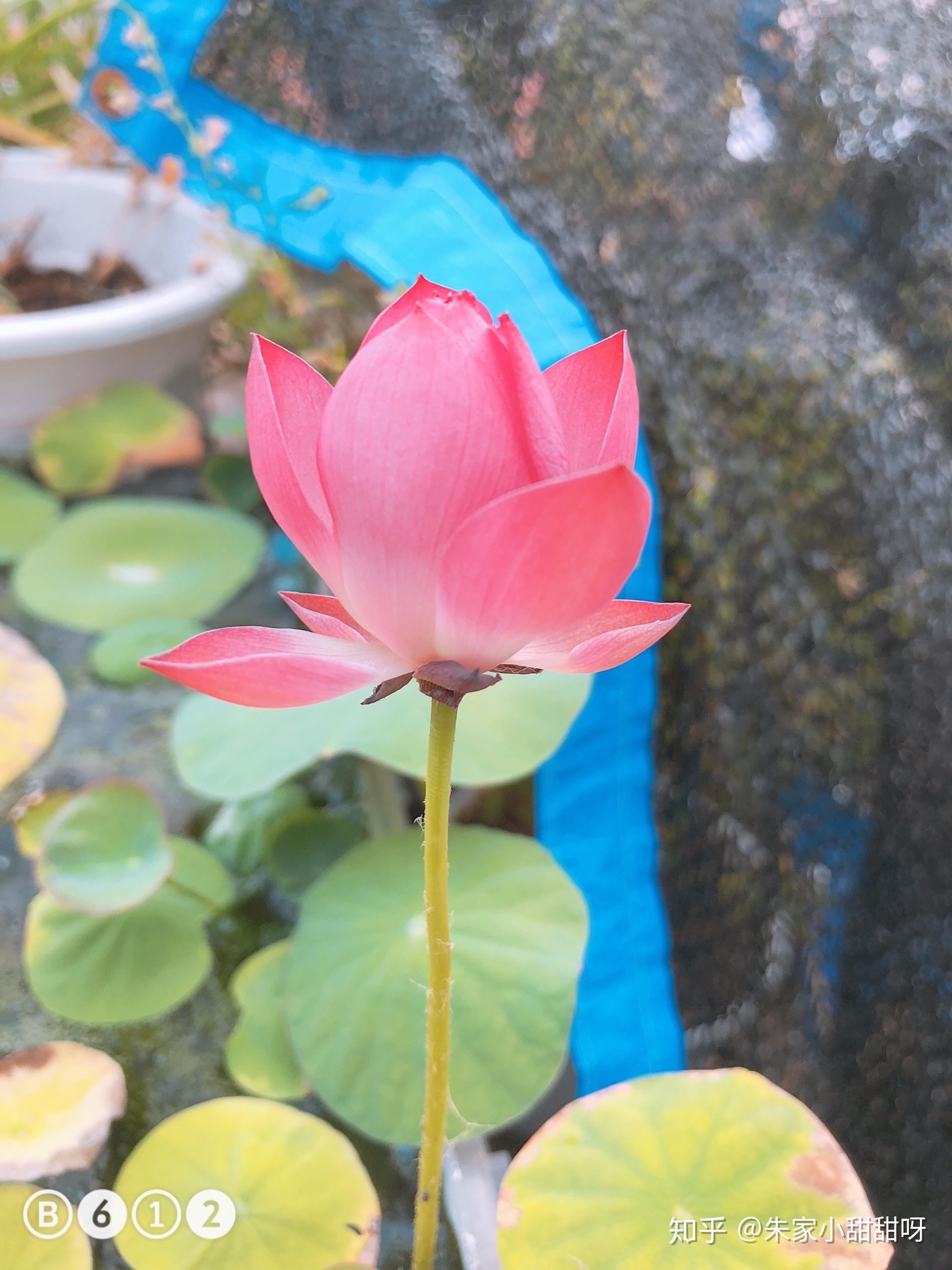 1920_2560竖版 竖屏