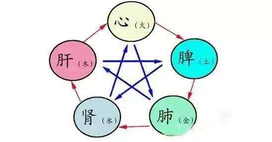 心肝脾肺肾滋养五脏的食材你知道哪些