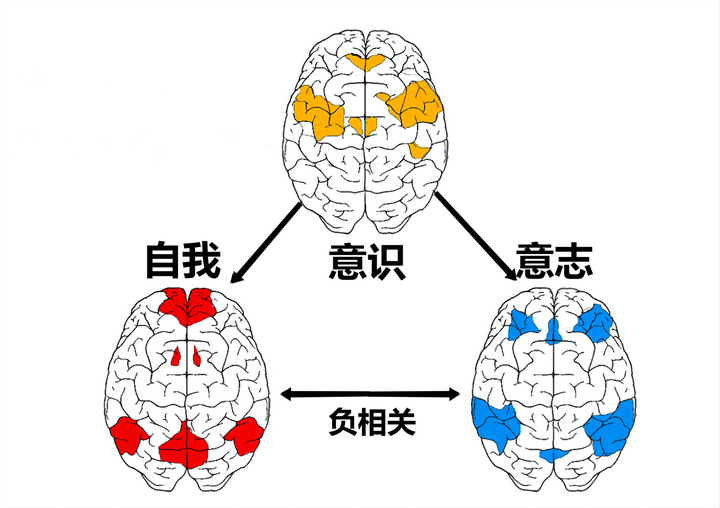 人気商品】 意志の力(葡)4 意志の力(葡)4 ALL - energia.ultragaz.com.br