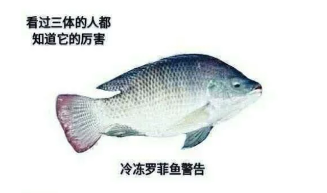 罗非鱼是什么梗？