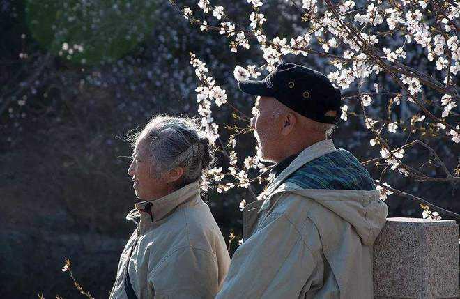 人老了有三样东西最重要:老本、老友、老伴! - 知乎