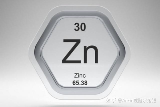 微量元素锌的概述及含锌的酶类 - 知乎