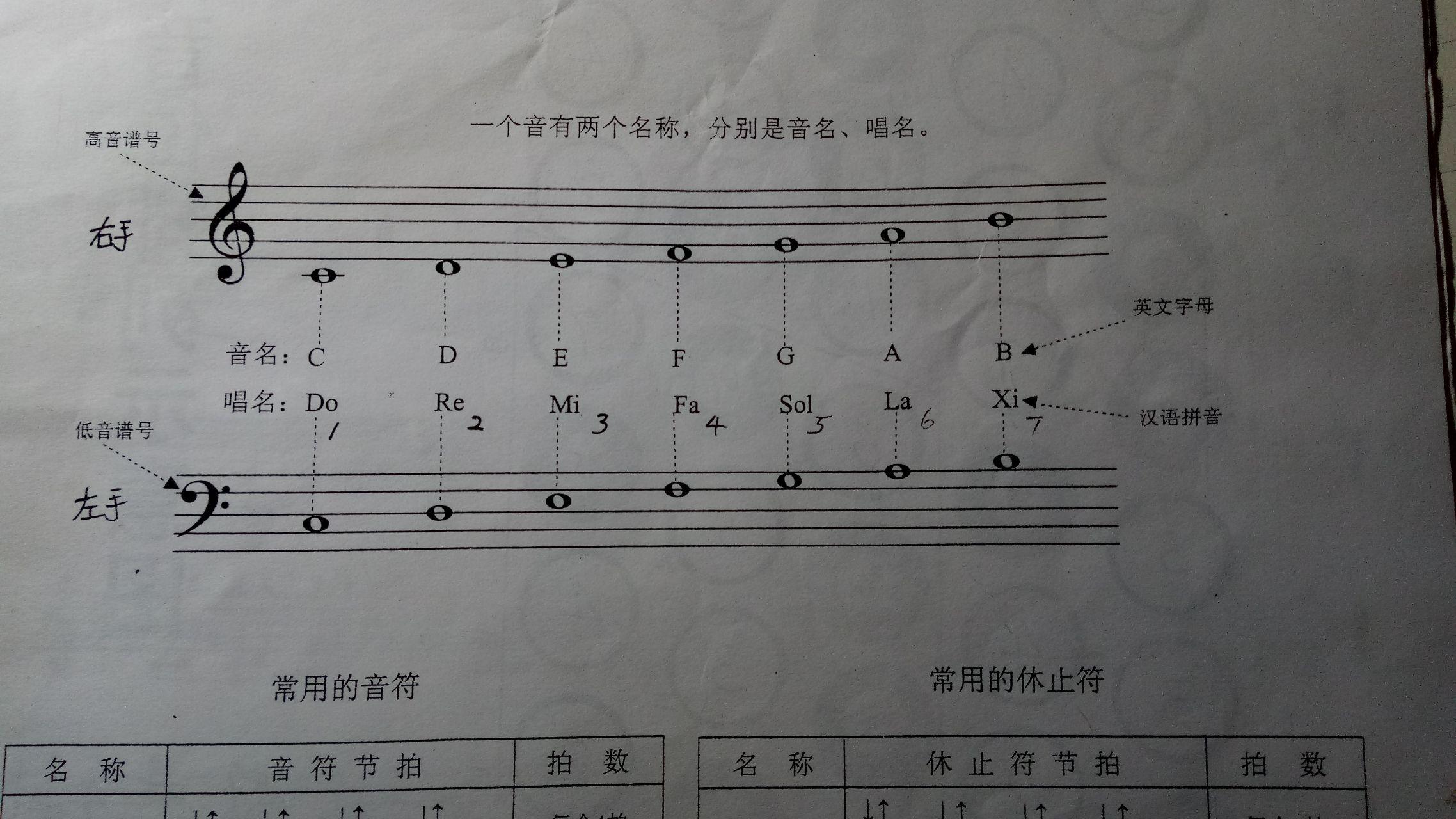 手风琴低音部怎么用啊
