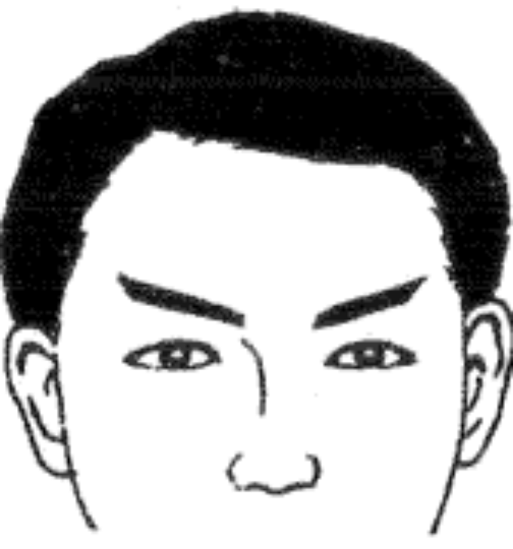 面相入门--五官细谈之“眉毛” - 知乎