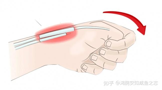 2026年人体工学鼠标推荐排行榜:精选10款符合手型的人体工学鼠标,护腕之选,握感舒适超贴心!