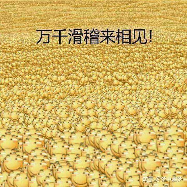 给大家分享一些有趣的滑稽表情包! - 知乎