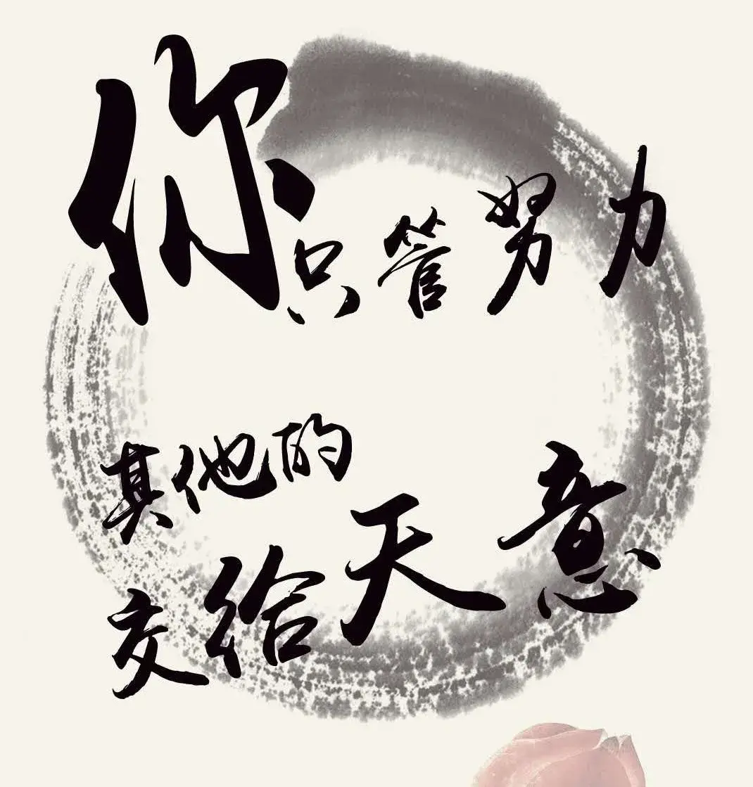 你只管努力 其他的交给天意 读 一年顶十年 后感 知乎