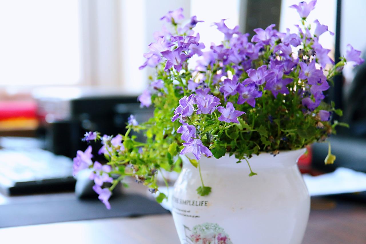 腊梅花有什么用处