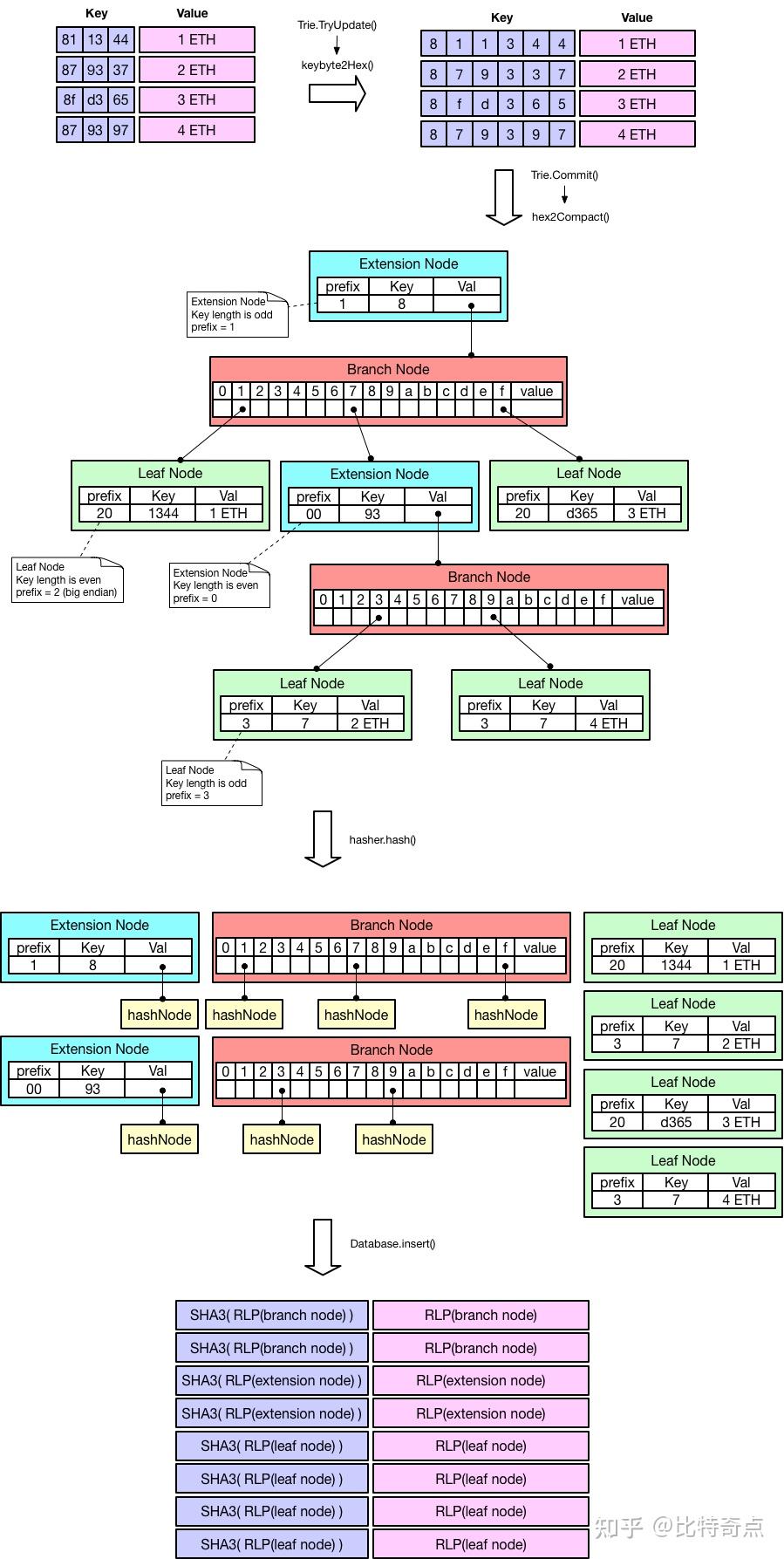 以太坊源码分析数据存储- 知乎