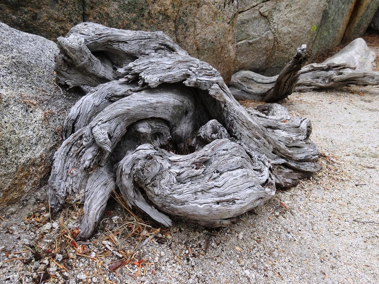 2. 基质配比技巧