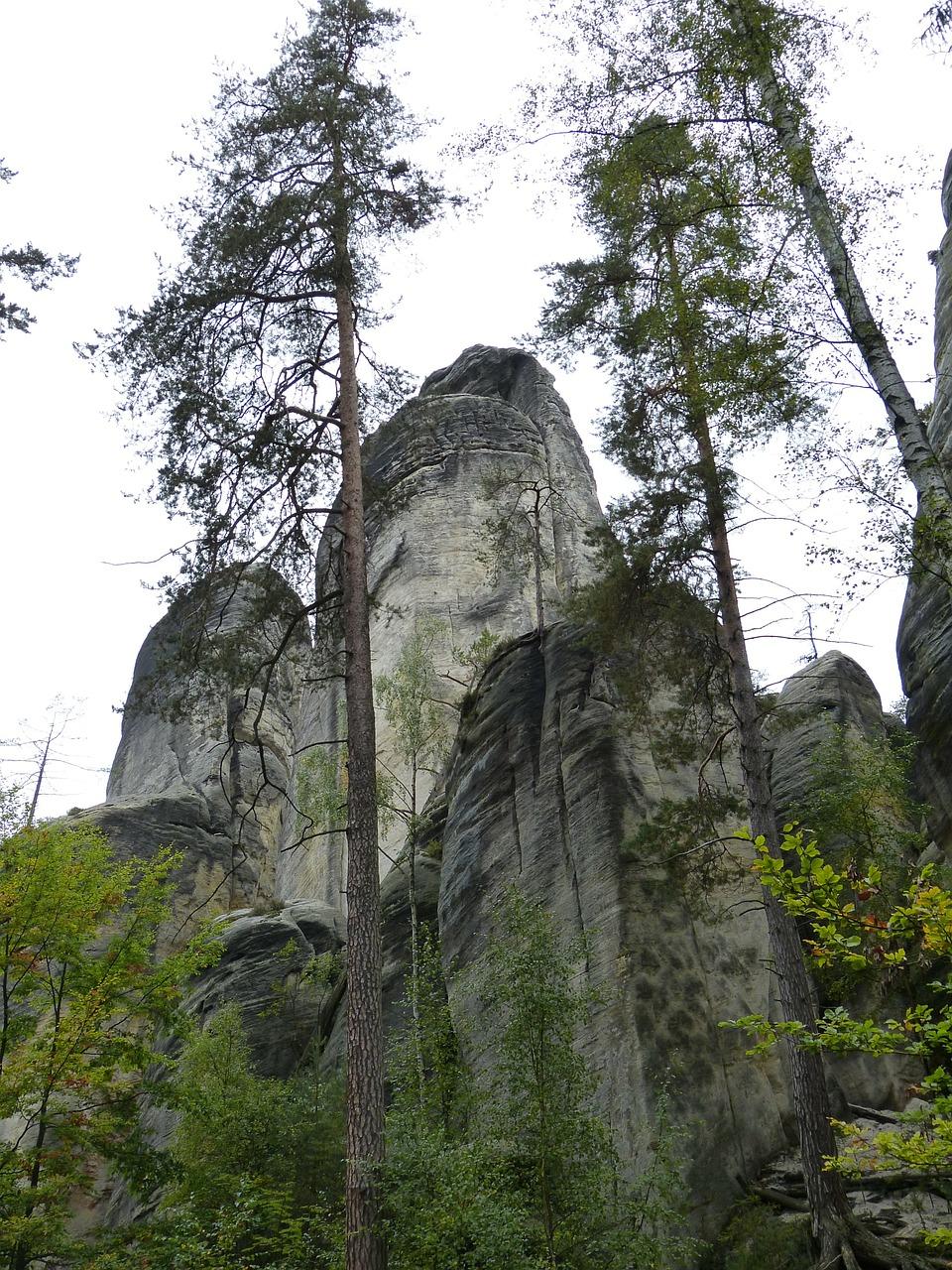 3. 灰岩应用领域