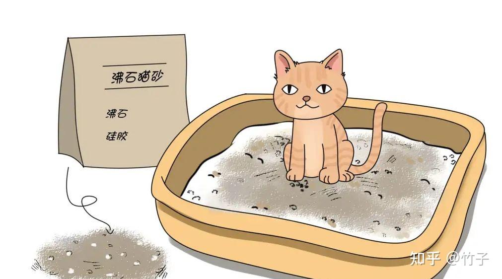 有哪些好用的猫砂推荐