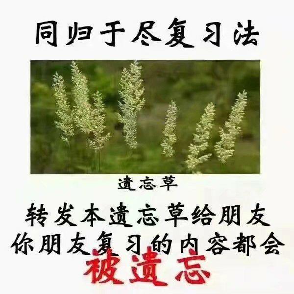 有震慑力的表情包有没有?