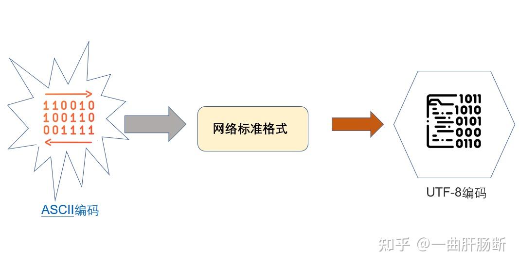 28 张图详解网络基础知识：OSI、TCP/IP 参考模型（含动态图） - 知乎