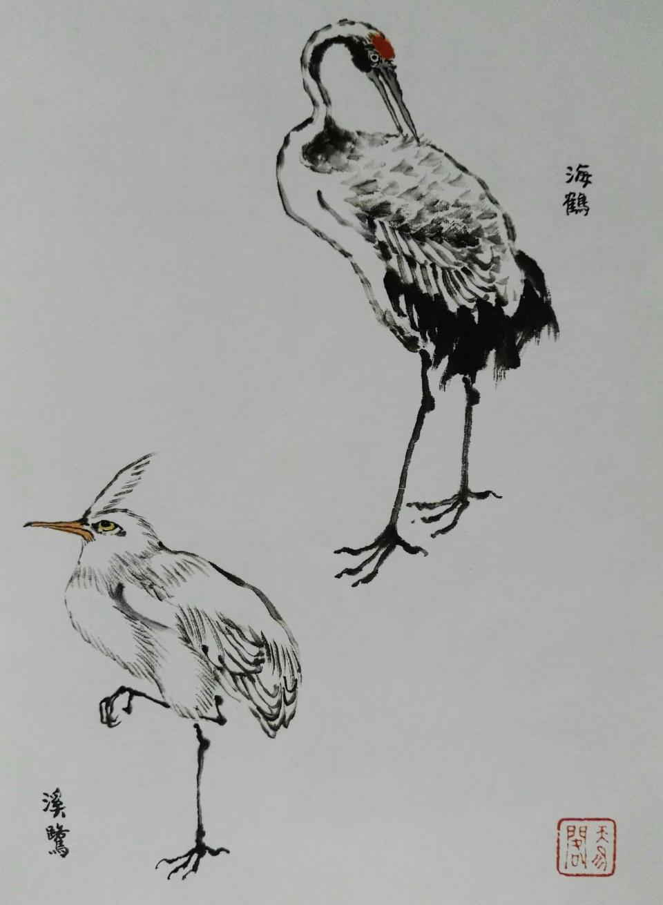 画鸟技法12个步骤分解和21种姿势,让你轻松入门 - 知乎