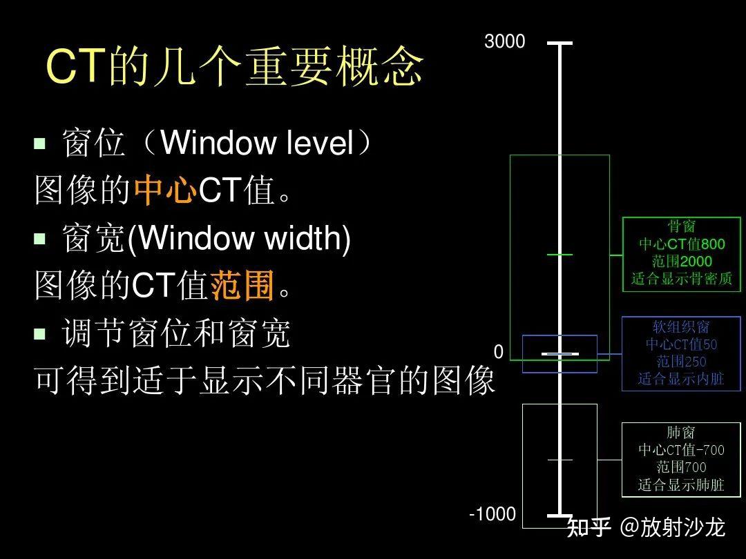 超细的腹部CT入门精美解剖图谱 - 知乎