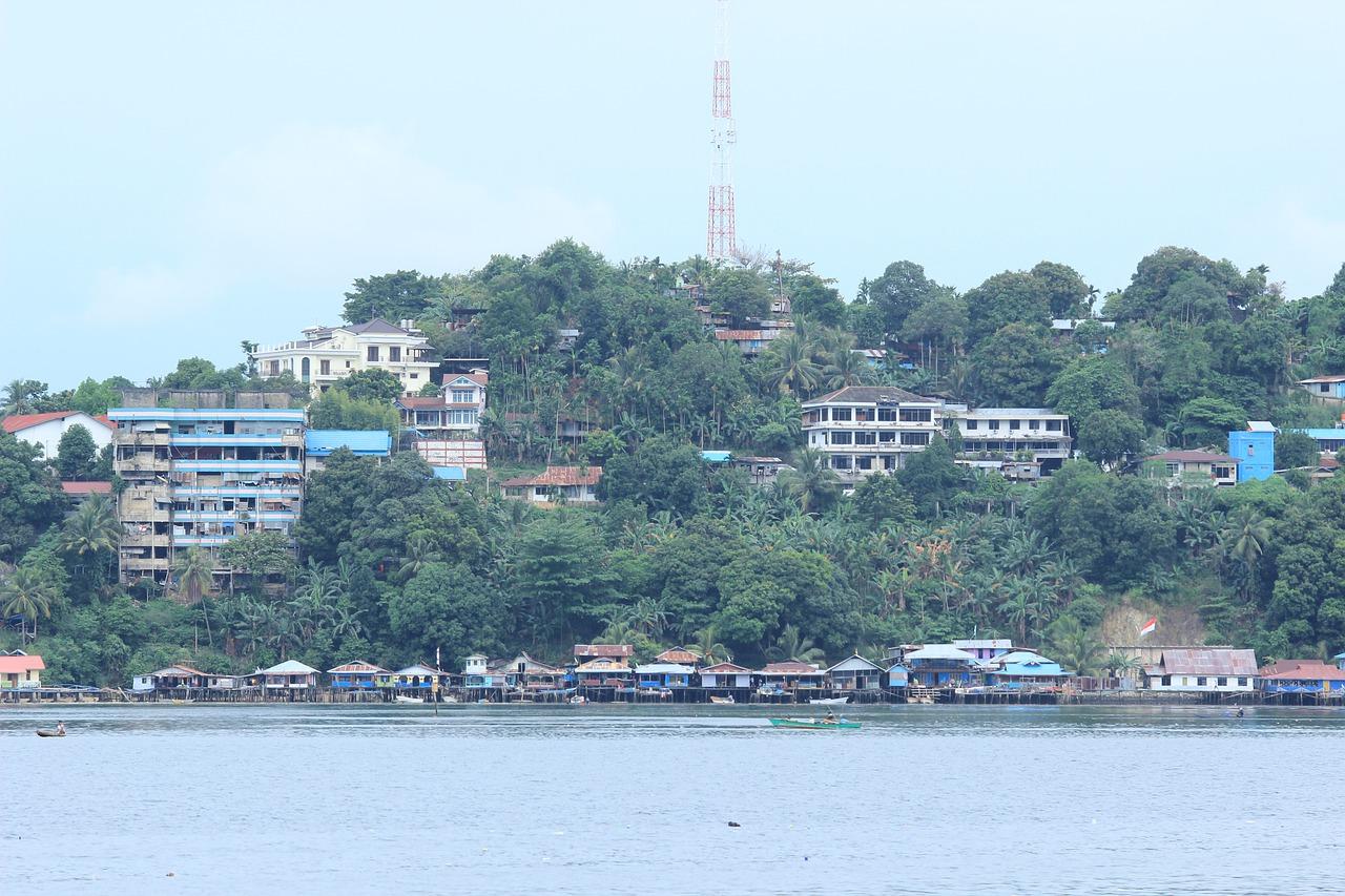2. 铁刀木种植要点