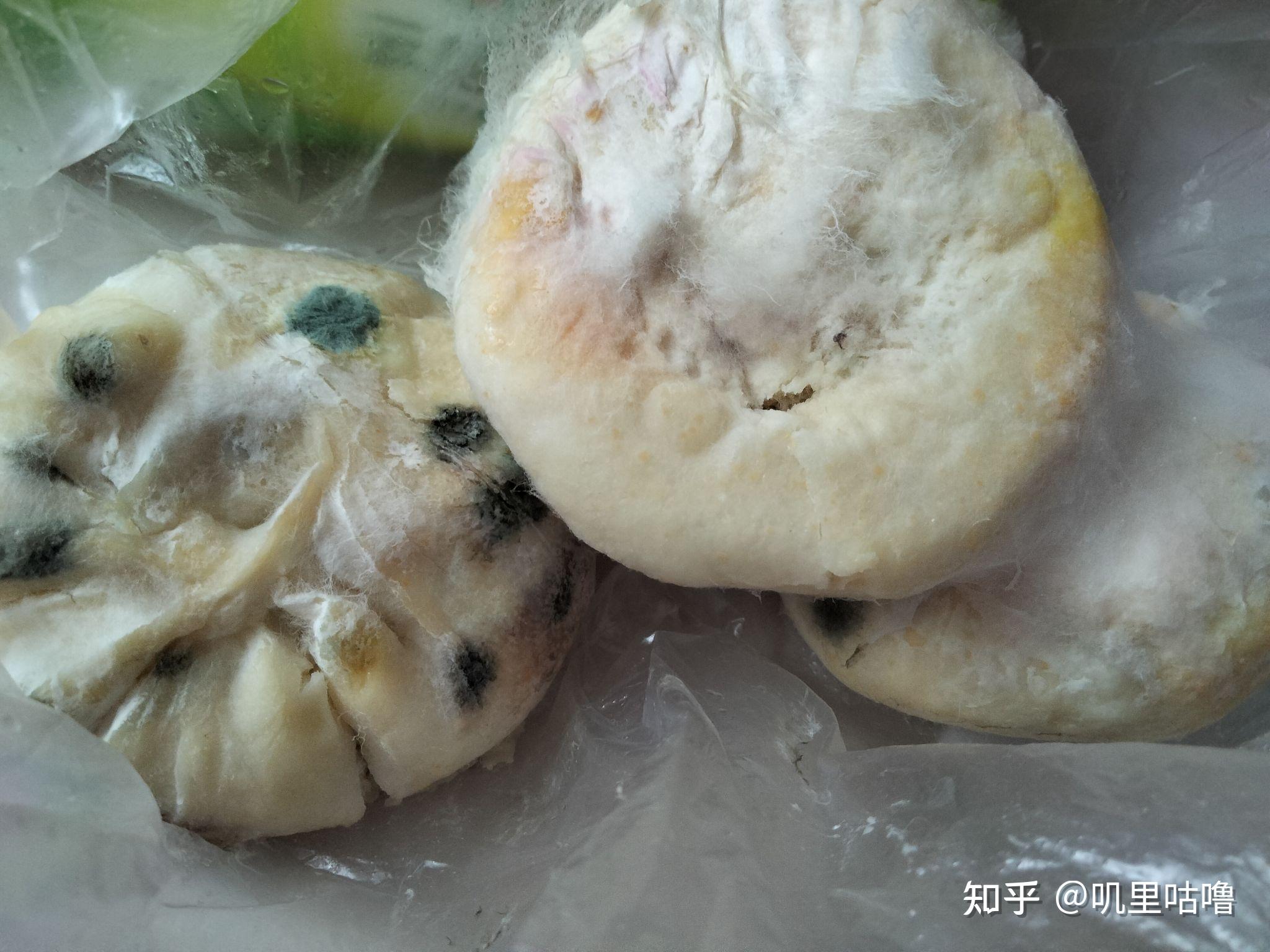 如何让一块馒头更快发霉? - 知乎