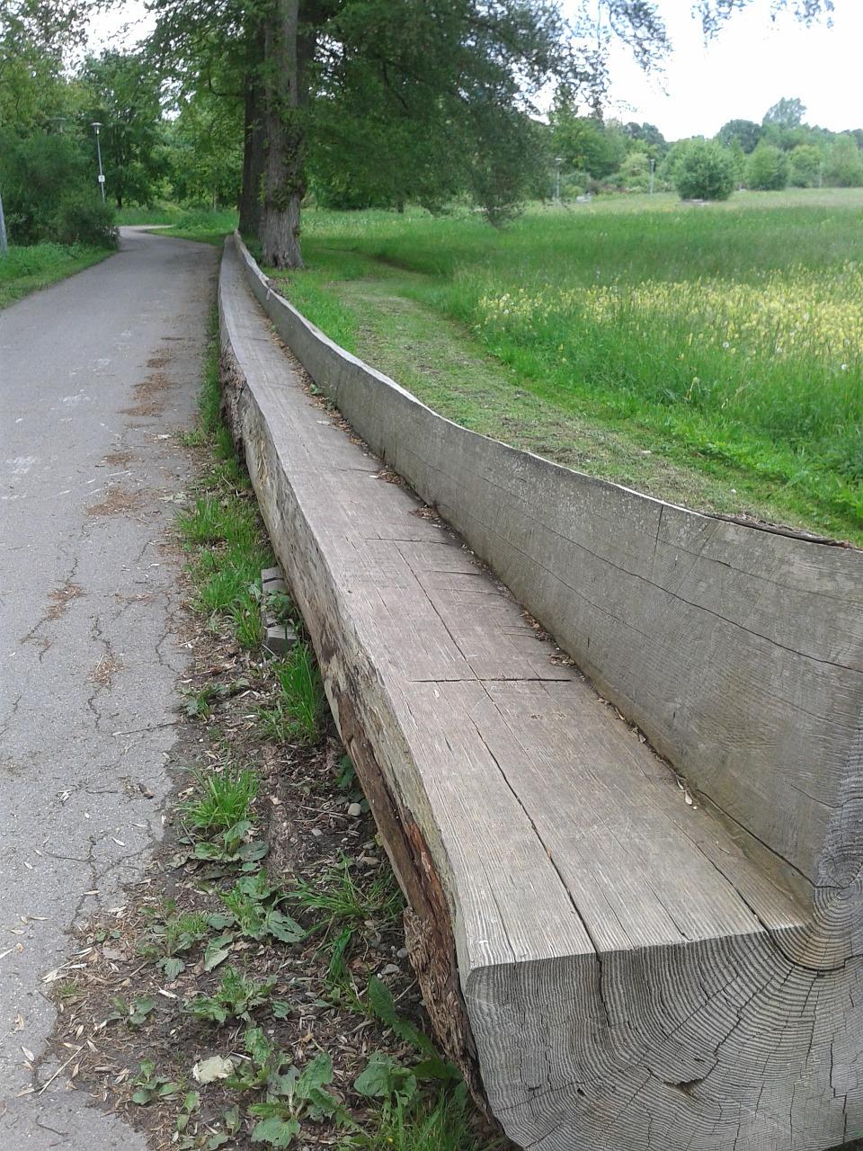 花开时节共漫步