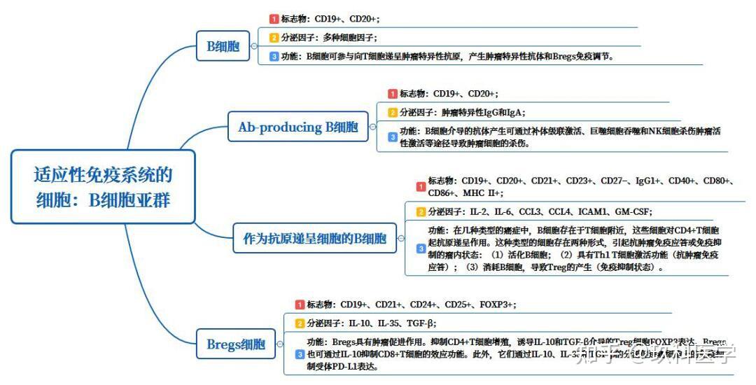国自然热点|肿瘤免疫微环境 - 知乎