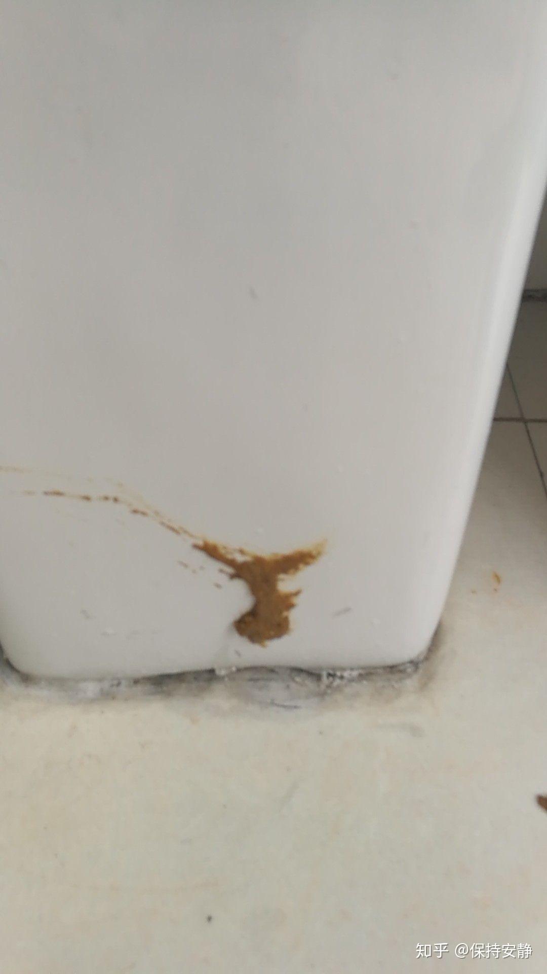 从来不在地上排便的猫今天突然在猫砂外的地面拉屎了