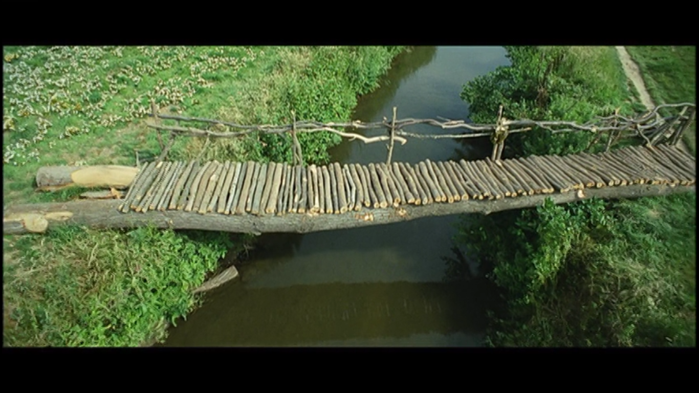 如何评价电影《雏菊》?