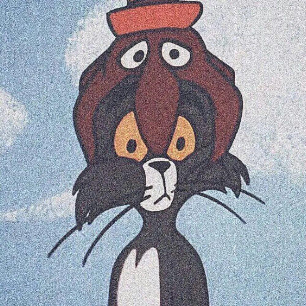 有哪些可爱又不失沙雕的头像? - 知乎