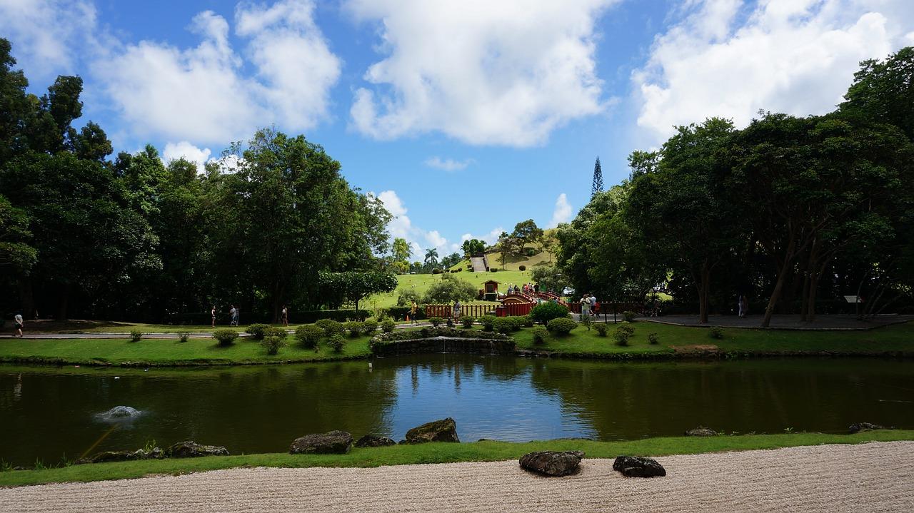 景致人生什么意思