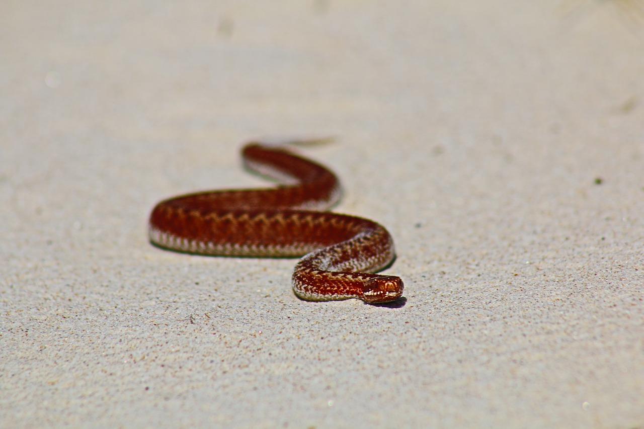 4. 工程用砂标准