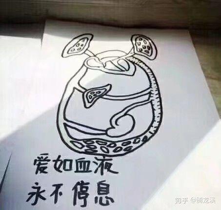 有哪些有趣的医学生专用的沙雕表情包